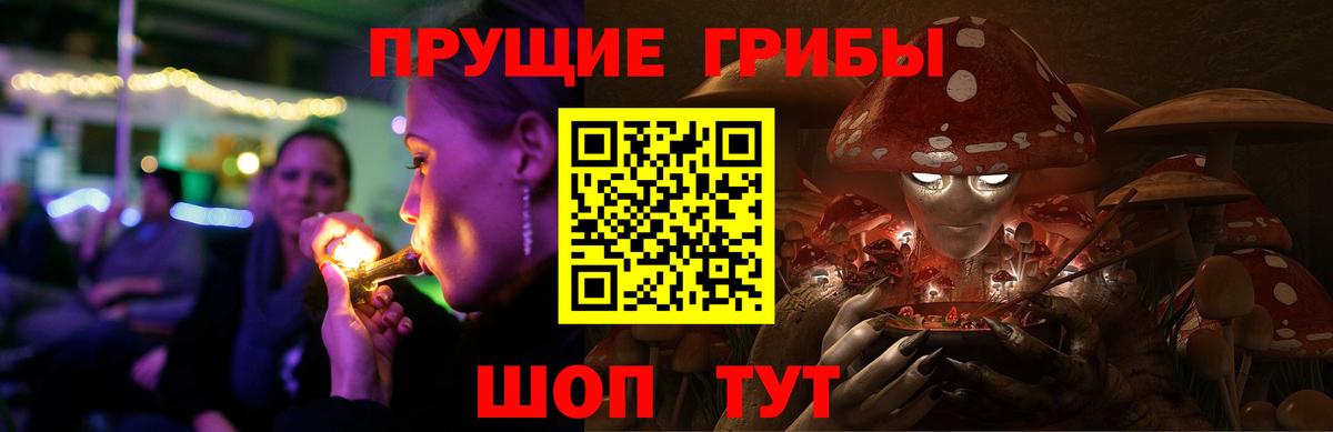 Псилоцибиновые грибы Cubensis Назарово